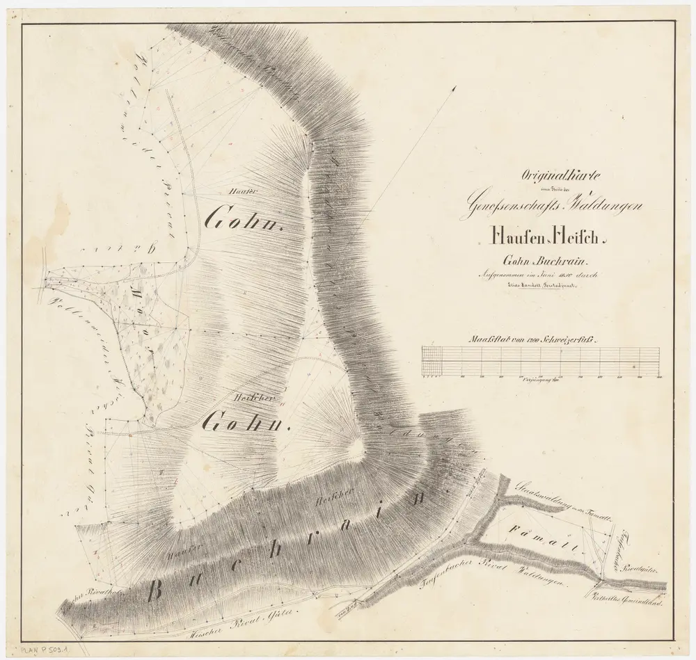 Hausen am Albis: Genossenschaftswaldungen Hausen, Heisch und Ebertswil: Genossenschaftswaldungen Hausen und Heisch mit Gom (Gohn), Buechrain; Grundriss