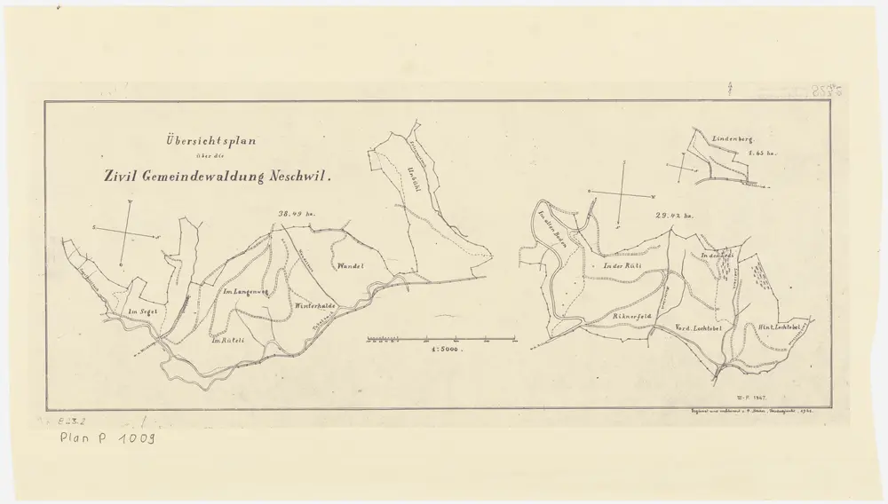 Weisslingen: Zivilgemeindewaldung Neschwil mit Unenbüel (Unbühl), Wandel, Winterhalden, Rüteli, Langenweg, Sägel (Segel), Im alten Boden, Rüteli (In der Rüti), Rikoner Feld (Ryknerfeld), In der Ledi, Im Lochtobel, Halden, Lindenberg; Übersichtsplan