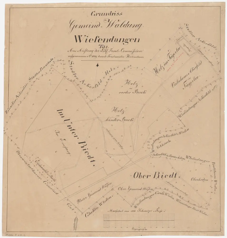 Wiesendangen, Oberwinterthur: Gemeinde- und Genossenschaftswaldungen: Wiesendangen: Gemeindewaldungen Im Unter Riet, Ifang (Einfang), Im Ober Riet, Eichwald im Riet, Holz vorder Buch, Holz hinter Buch, Tägerlen (Tägerloo); Grundriss (Tab. I)