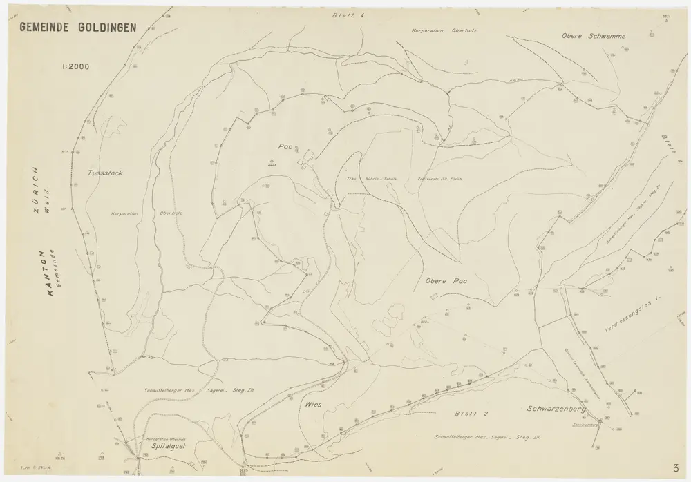 Fischenthal, Goldingen SG: Waldungen: Goldingen SG: Tössstock, Boalp (Poo), Schwarzenberg, Schwämi (Schwemme); Grundriss (Blatt 3)