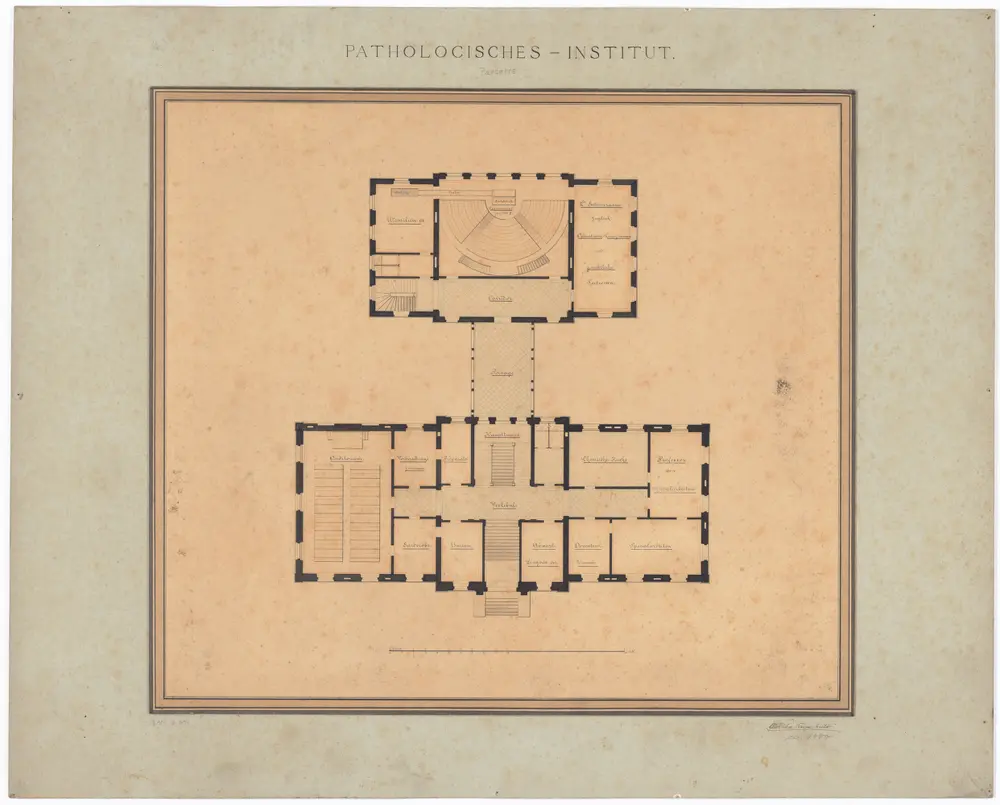 Kantonsspital Zürich, projektiertes Pathologisches Institut: Erdgeschoss; Grundriss