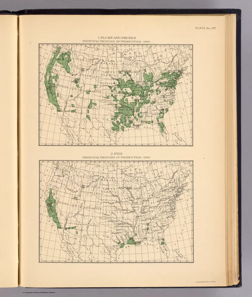 177. Plums, prunes, figs, principal regions.