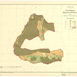 Bubenbach, Eisenbach (Hochschwarzwald), FR mit Oberbränd. GLAK H-1 Gemarkungspläne