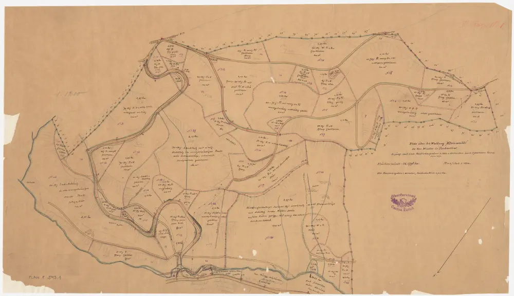 Turbenthal: Staats- und Privatwaldungen: Privatwaldparzelle Chliweidli (Kleinweidli) von Herrn Winkler, in Turbenthal; Grundriss
