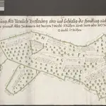 HZAN GA 100_Nr. 6_ : Adolzfurt"Brestenberg im Adolzfurter Forst";Johann Jakob Huntzinger, Feldmesser zu Öhringen;"Der Waldmorgen zu 256 Ruten, der Feldmorgen aber zu 160 Ruten, die Ruten zu 16 Schuh gerechnet";85 x 40 cm;Im Titel sind noch weitere Waldschläge angegeben;Papier; Grenze und Waldbäume grün getönt, ohne Höhenunterschiede.