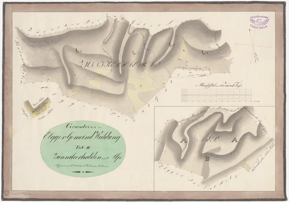 Elgg: Gemeindewaldung: Züniker Halden (Zünnikerhalden), Mühlehalden, Alp; Grundrisse (Tab. III)