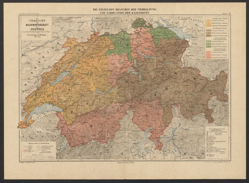 Die einzelnen Branchen der Viehaltung und Fabrication der Käsesorten