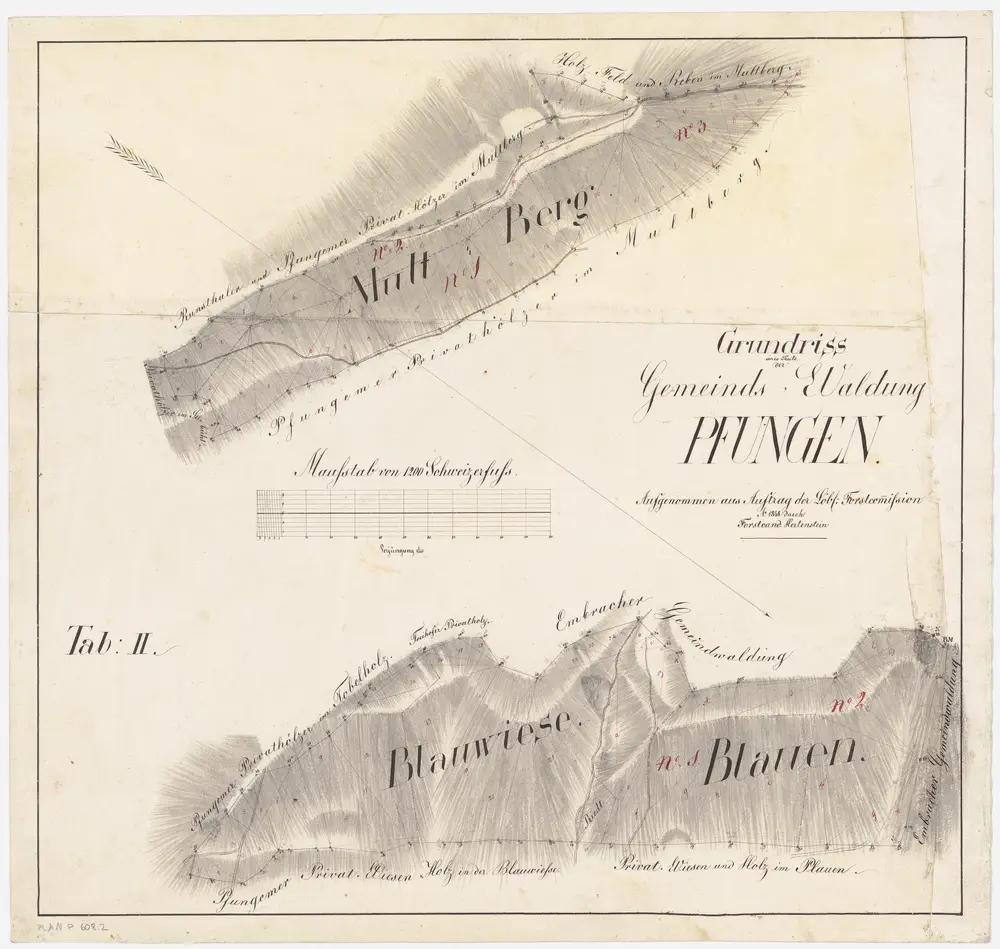 Pfungen: Gemeindewaldung: Multberg, Blawis (Blauwiese), Rietli, Blanen (Blauen, Plauen); Grundrisse (Tab. II)