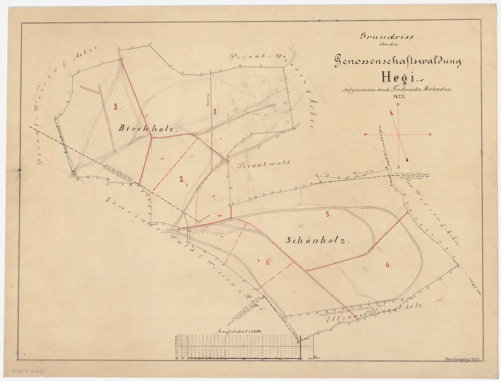 Oberwinterthur, Wiesendangen: Gemeinde- und Genossenschaftswaldungen Hegi: Oberwinterthur, Wiesendangen: Genossenschaftswaldungen Schönholz, Birch; Grundriss