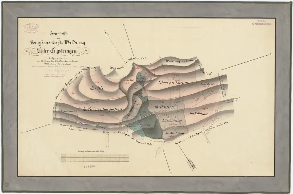 Unterengstringen: Genossenschaftswaldung: Hochrüti, Ris, Sparrenberger Hau (Sparenbergerhau), Chüebrünneli (Kühbrünneli), Risi, Oben an Tannen, Tannen, Ischlag (Einschlag), Weidgang, Burüti, Chüehau (Kühhau); Grundriss