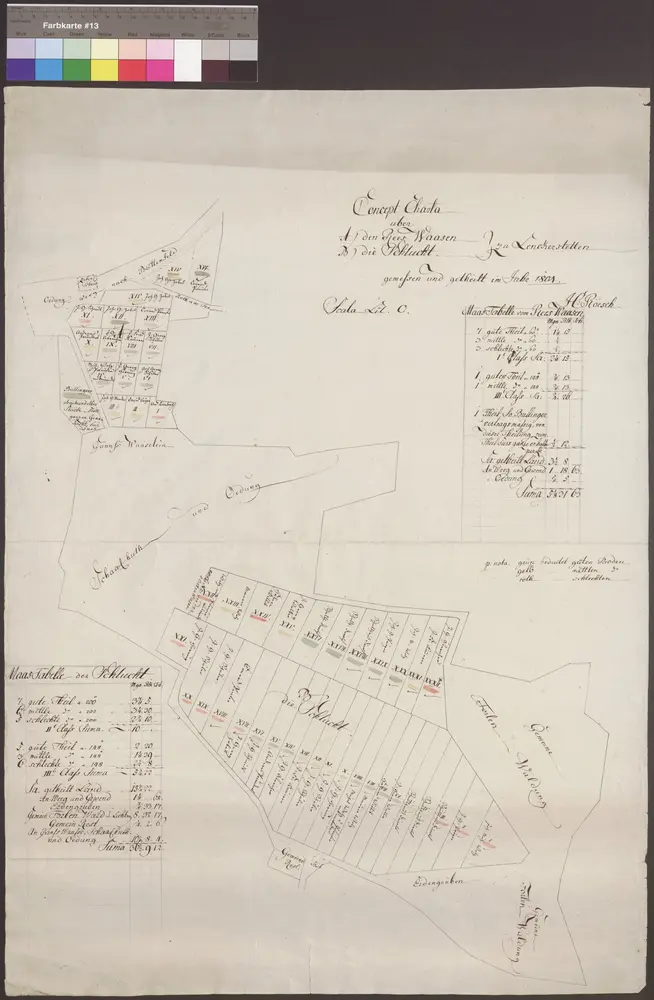 HZAN GA 100_Nr. 257_ : Lenkerstetten (Kr. Crailsheim); "Conzept-Charta über den Reeswasen und der Schlucht";H. Roesch;ohne Maßstab;38 x 53,5 cm;Papier; Federzeichnung; Qualifikation des Bodens in Farben; die Grundstücke sind nummeriert; links unten und rechts oben Maßtabelle.