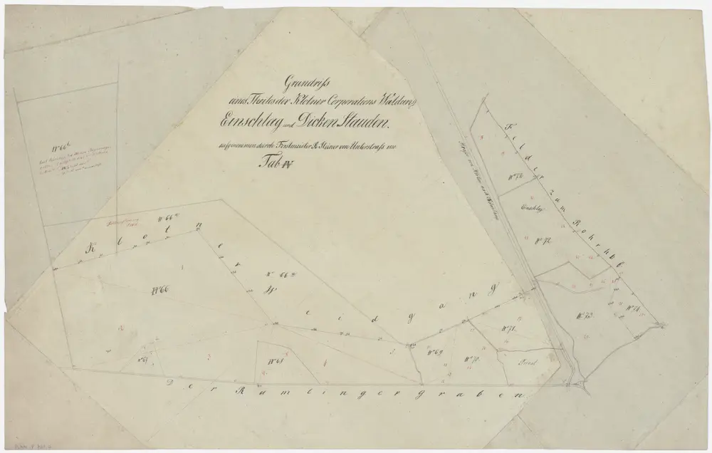 Kloten: Gemeinde- und Genossenschaftswaldungen: Genossenschaftswaldungen Einschlag und Dickenstauden; Grundriss (Tab. IV)