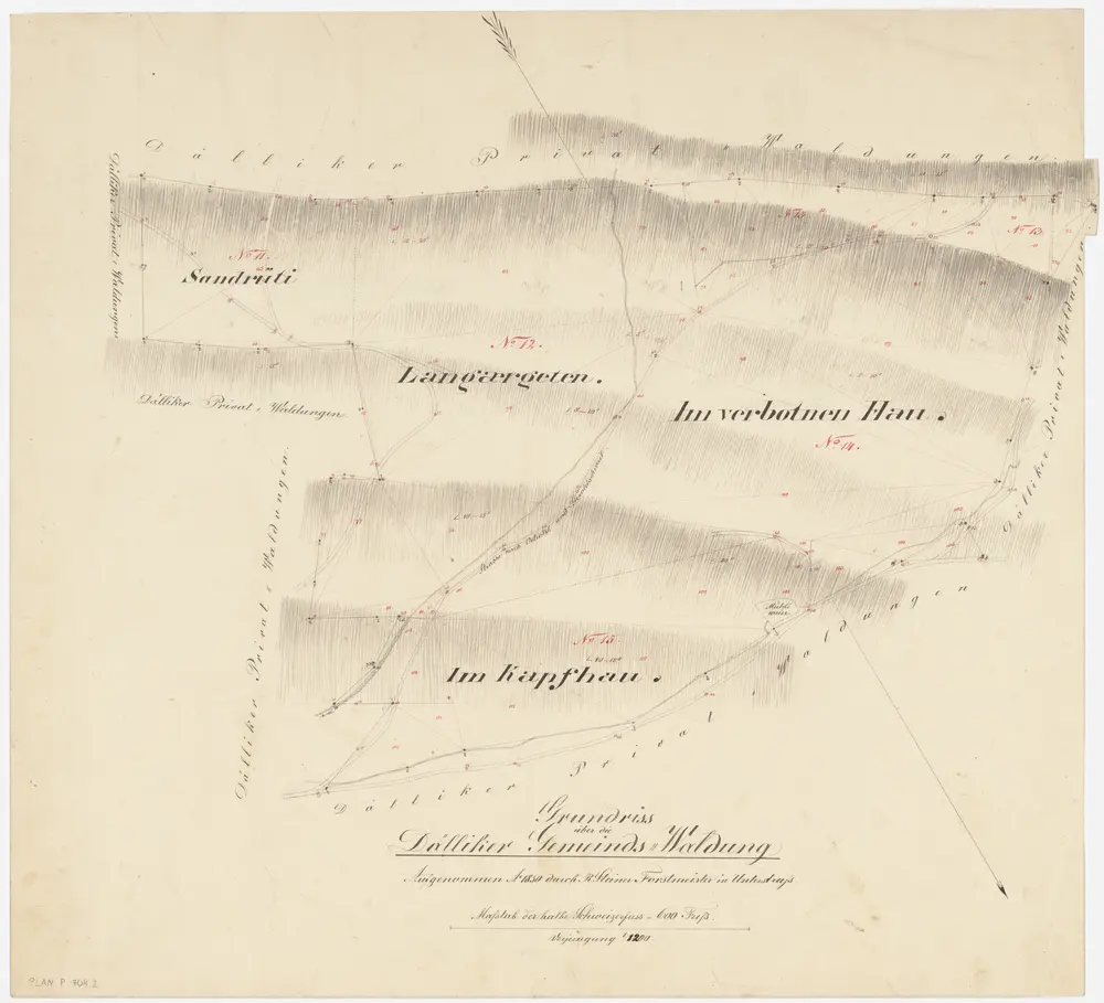 Dällikon: Gemeindewaldung: Sandrüti, Langärgeten, Im verbotnen Hau, Chapf (Im Kapfhau); Grundriss