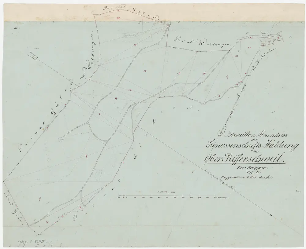 Rifferswil: Genossenschaftswaldung Oberrifferswil: Brüggen; Grundriss (Tafel II)