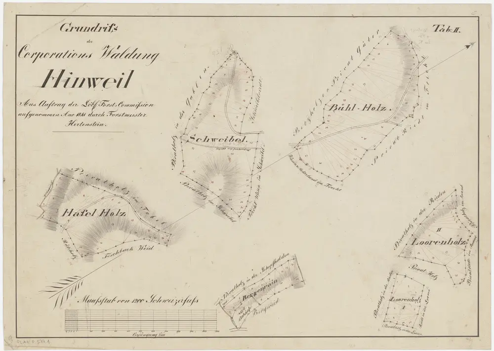 Hinwil: Genossenschaftswaldung: Haslenholz (Haselholz), Schweipel (Schweibel), Büelholz (Bühlholz), Bergrain, Loorenholz; Grundriss (Tab. II)