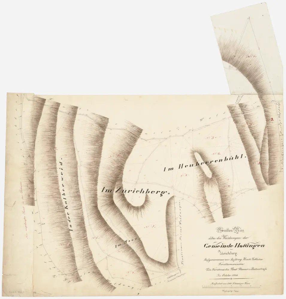 Fluntern, Hottingen, Unterstrass, Zürich: Stadt-, Gemeinde- und Genossenschaftswaldungen: Fluntern, Oberstrass: Hottinger Gemeindewaldungen In der Kalberweid, Im Zürichberg, Heubeeribüel (Im Heubeerenbühl); Grundriss