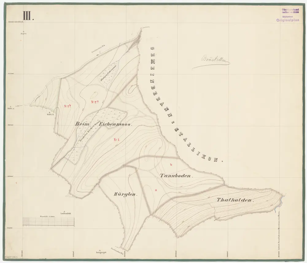 Bonstetten: Genossenschaftswaldung: Eichenmas (Eichenmoos), Tannboden, Hörglen (Hürglen), Thalhalden; Grundriss (Blatt III)