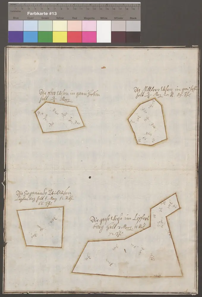 HZAN GA 100_Nr. 154_ : Ingelfingen; [Wiesenkarte, 4 Wiesen bei Lipfersberg];[J. Chr. Leyser];ohne Maßstab;29,5 cm x 37,5 cm;Papier; Grenzen in Wasserfarben; Grundstücke zur Vermessung in Drei- und Vierecke eingeteilt.