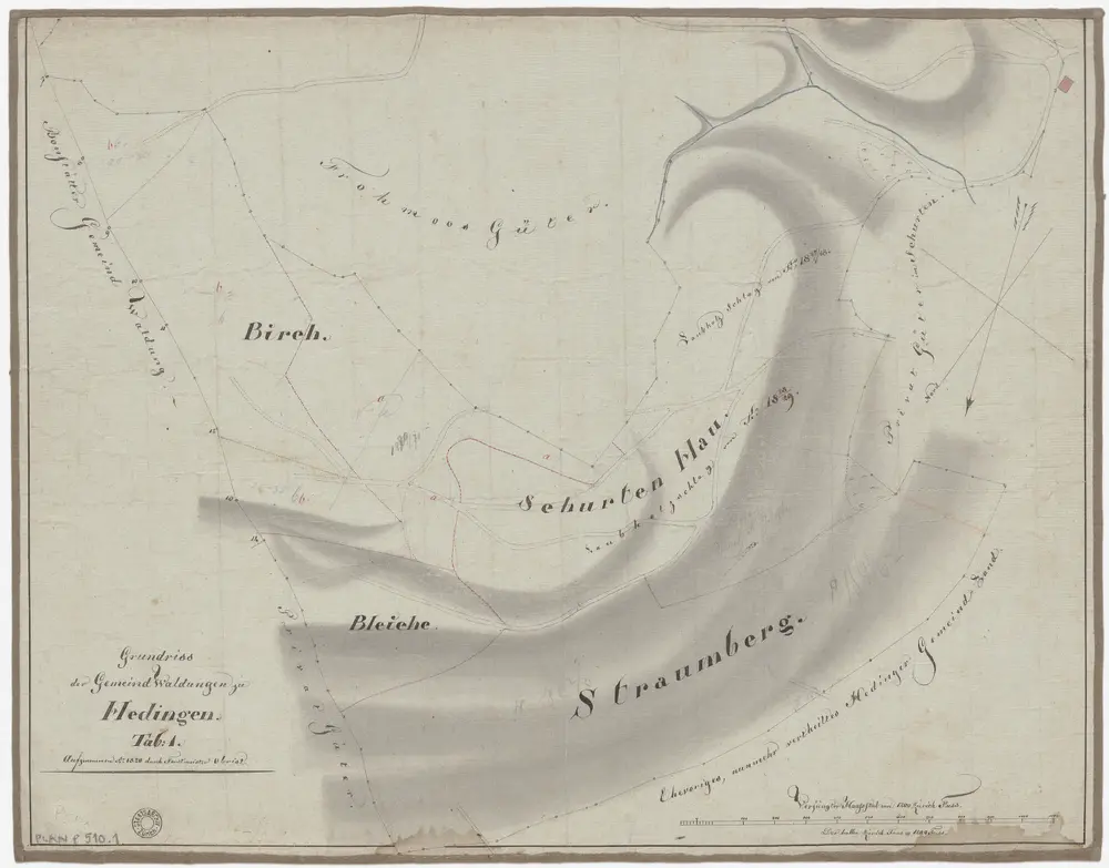 Hedingen: Gemeinde- und Genossenschaftswaldungen: Gemeindewaldungen Birch, Bleiche, Schurten, Strumberg; Grundriss (Tab. 1)