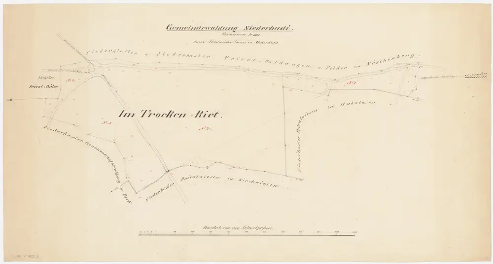 Niederhasli: Gemeinde- und Genossenschaftswaldungen: Gemeindewaldung Trochenriet (Im Trocken Riet); Grundriss