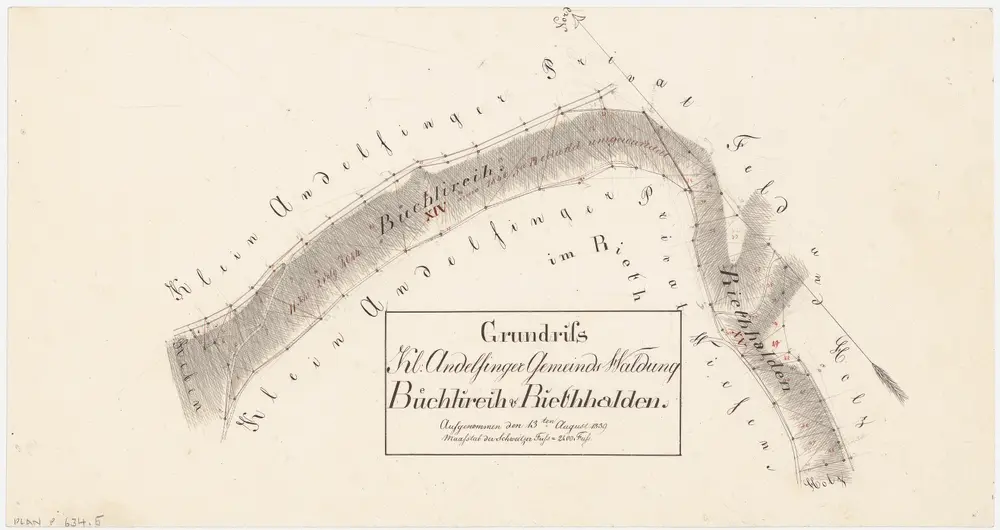 Kleinandelfingen: Gemeindewaldung: Büechlirein, Riethalden; Grundriss