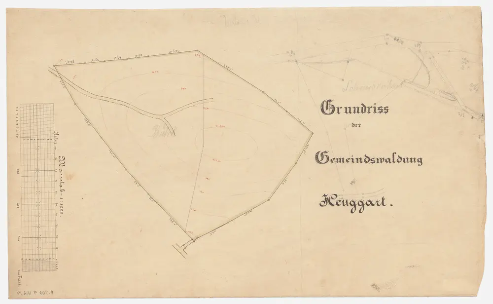 Henggart: Gemeindewaldung: Büel (Bühl); Grundriss