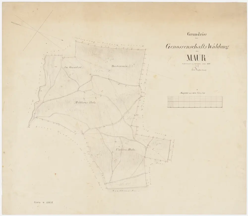 Maur: Genossenschaftswaldung: Buchenrain, Mittleres Holz, Unteres Holz, Im Gandert; Grundriss