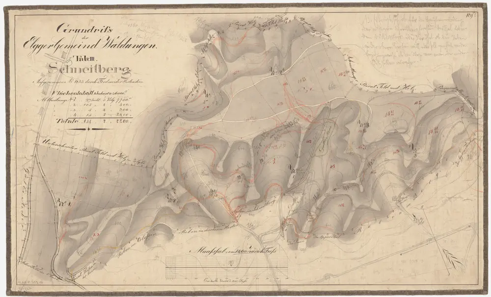 Elgg: Gemeindewaldung: Schneitberg; Grundriss (Tab. III)