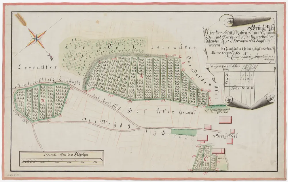 Nürensdorf: Drei Rebgüter, wovon der Zehnt am 12.11.1804 von der Gemeinde Birchwil losgekauft wurde; Grundriss