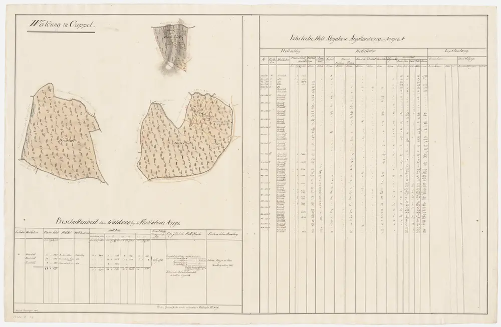 Kappel am Albis, Hausen am Albis: Der Schaffnerei Kappel gehörende Waldung (Waldbezirke Hauserholz, Eichhölzli und Buchholz); Grundrisse (III. Planche)