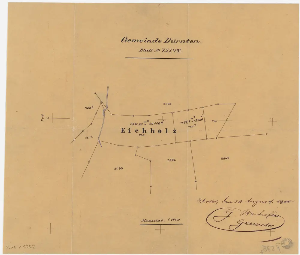 Dürnten: Waldungen: Dürnten: Eichholz; Grundriss (Blatt XXXVIII)