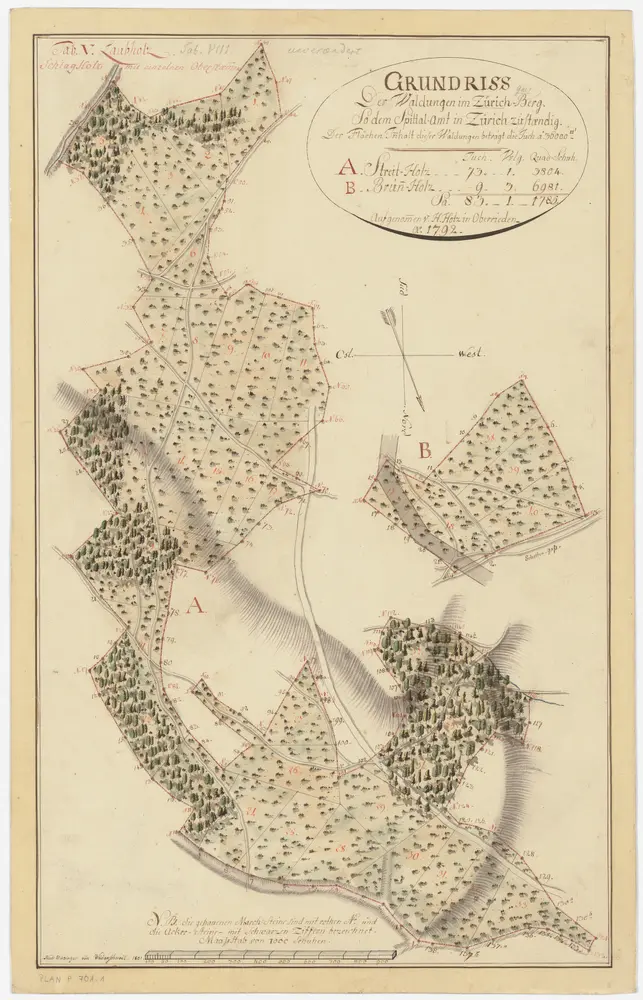 Hirslanden, Hottingen, Oberstrass, Schwamendingen, Zürich: Spital- und Staatswaldungen auf dem Zürichberg und dem Adlisberg: Oberstrass, Schwamendingen: Dem Spitalamt gehörende Waldungen Streitholz und Brunnhölzli auf dem Zürichberg; Grundrisse