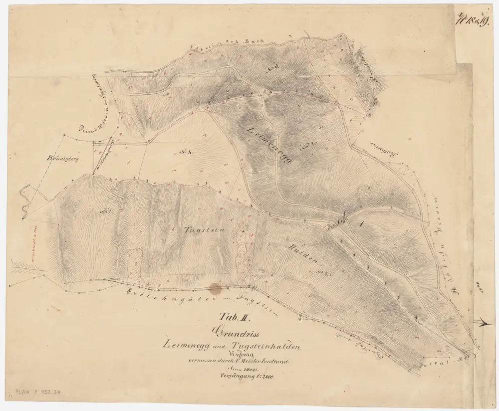 Kyburg, Töss, Illnau-Effretikon (damals Illnau), Schlatt: Staatswaldung: Kyburg: Tutschgenhalden (Tugsteinhalden), Leimenegg; Grundriss (Tab. II bzw. Nr. 18 und 19)