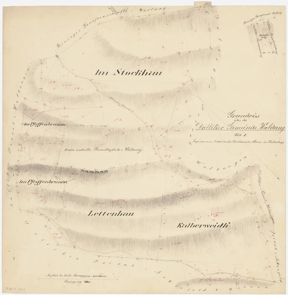 Dällikon: Gemeindewaldung: Stöckhau (Stockhau), Pfaffenbrunnen, Gerechtigkeitswaldung, Lättenhau (Lettenhau), Chalberweidli (Kalberweidli), Rutschenholz; Grundrisse