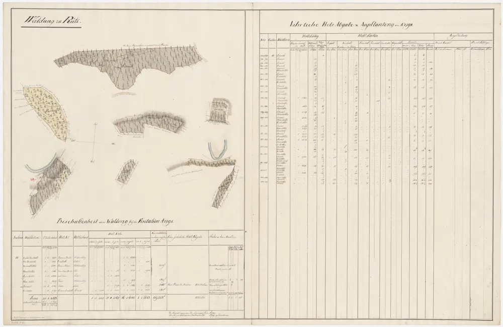 Rüti: Dem Amt Rüti gehörende Waldung zu Rüti (Waldbezirke Ausser- und Inner-Buchholz, Äschmatthölzli, Haselhölzli, Speirhölzli, Herrenhölzli, Sennwald und Eichhölzli); Grundrisse (II. Planche)