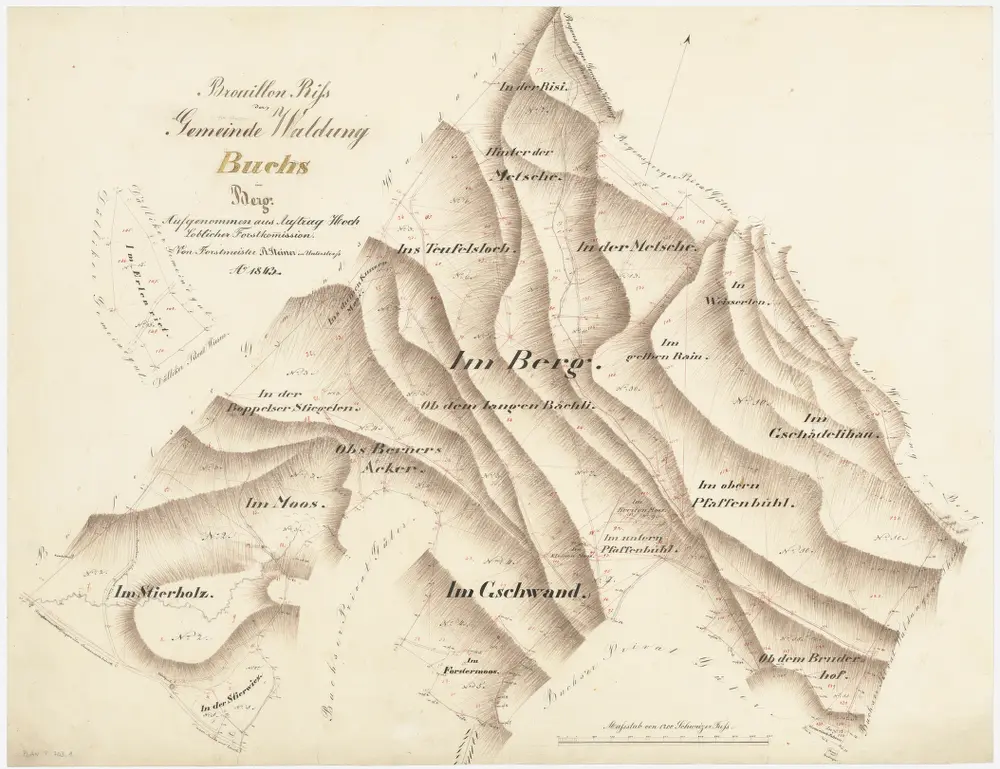 Buchs: Gemeindewaldung: Berg mit Stierholz, Moos, Gschwand, Bernetsacker (Obs Berners Acker), Tüfelsloch (Teufelsloch), Mötschen (Metsche), Risi, Im gälen Rain (Im gelben Rain), Bruederhof, Pfaffenbüel, Maas (Forstermoos), Gstädelihau (Gschädelihau), Erlenriet; Grundrisse