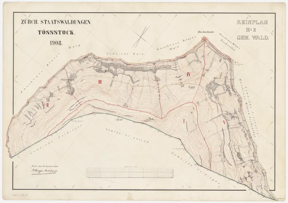 Wald, Fischenthal, Goldingen SG: Waldungen: Wald: Staatswaldung Tössstock; Grundriss (Reinplan Nr. 2)