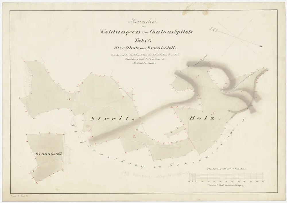 Hirslanden, Hottingen, Oberstrass, Schwamendingen, Zürich: Spital- und Staatswaldungen auf dem Zürichberg und dem Adlisberg: Oberstrass, Schwamendingen: Kantonsspitalwaldungen Streitholz und Brunnhölzli auf dem Zürichberg; Grundriss (Tab. V)