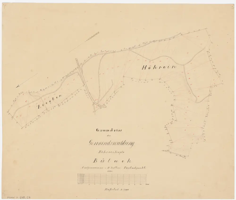 Bülach, Bachenbülach, Hochfelden: Gemeindewaldungen Bülach und Bachenbülach: Bülach: Höhrain (Höhrein), Zieglen; Grundriss