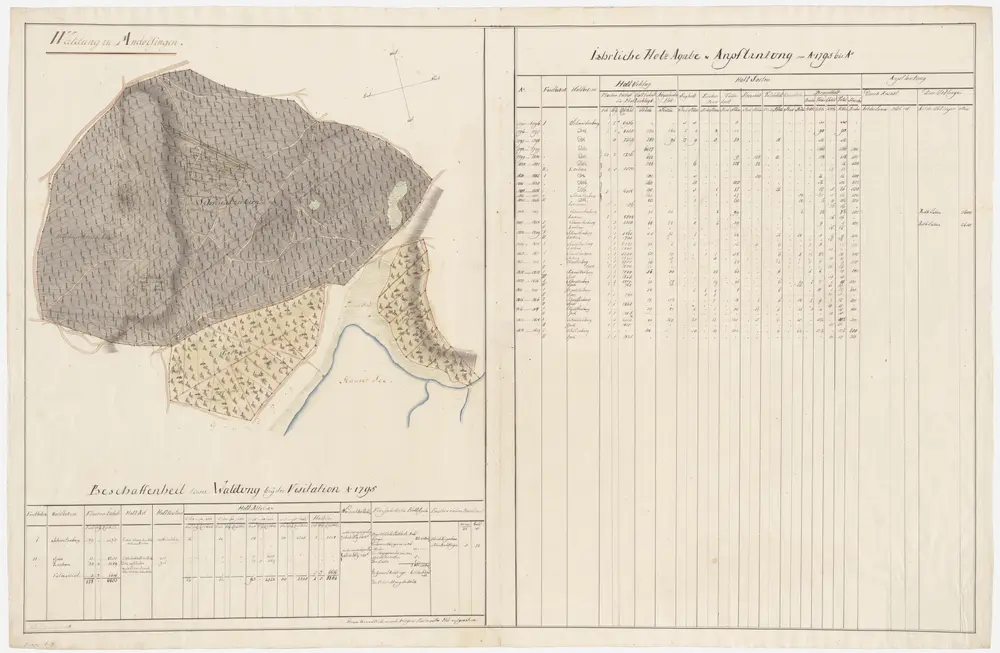 Ossingen: Der Schaffnerei Andelfingen gehörende Waldung (Waldbezirke Schneitenberg, Speck, Loorhau und Falmerriet); Grundrisse (I. Planche)