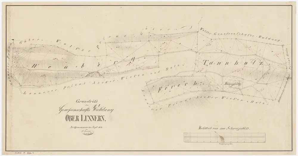 Obfelden: Genossenschaftswaldung Oberlunnern: Tannholz, Heuberg, Färech (Ferech); Grundriss