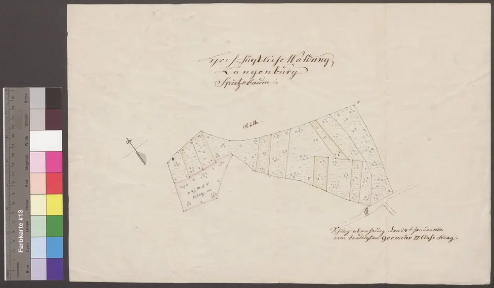 HZAN GA 100_Nr. 253_ : Langenburg; "Waldung Spitzebaum";Geometer 2. Kl. Haag;ohne Maßstab;44,5 x 29,5 cm; Norden oben nach links;Papier; Federzeichnung; Waldstücke koloriert.