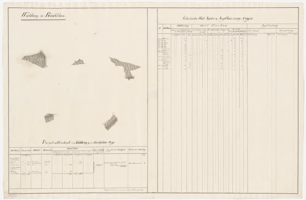 Rüschlikon: Dem Obmannamt gehörende Waldung (Waldbezirke Herrenhau, Langentannen, Riemen, und Hinteregg); Grundrisse (IV. Planche)