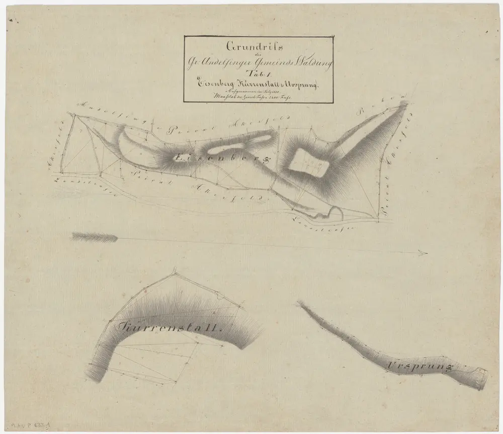 Andelfingen (damals Grossandelfingen): Gemeindewaldung: Isenberg (Eisenberg), Chürenstall (Kürrenstall), Ursprung; Grundrisse (Tab. 1)