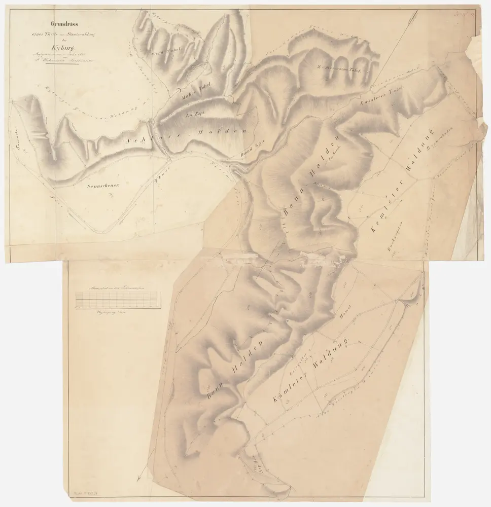 Kyburg, Töss, Illnau-Effretikon (damals Illnau), Schlatt: Staatswaldung: Kyburg, Töss, Illnau-Effretikon (damals Illnau): Schlosshalden, Bannhalden, Chämleterwald (Kemleter Waldung); Grundriss (Nr. 20 und 21)