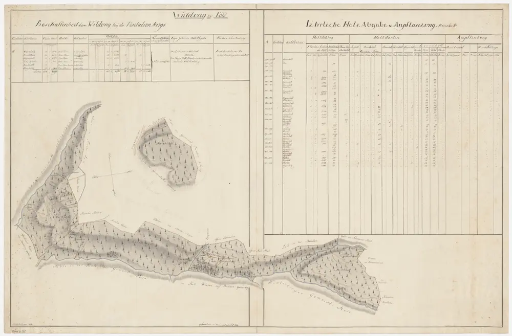 Töss: Dem Amt Winterthur gehörende Waldung (Waldbezirke Obertannli, Birchrain, Waspenholz, In der Blatten, Steigholz und Birchholz); Grundrisse (X. Planche)