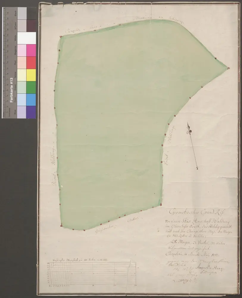 HZAN GA 100_Nr. 311_ : Oberhof (Kr. Öhringen); "Geometrischer Grundriß über einen ... Wald im Oberhofer Forst, das Helig genannt";Augustin Haag, Feldmesser, Künzelsau;40 Ruten = 16 cm;37 x 53 cm; Norden oben;Papier; Federzeichnung; Wald in Wasserfarben.