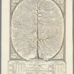 Arbre Geographique