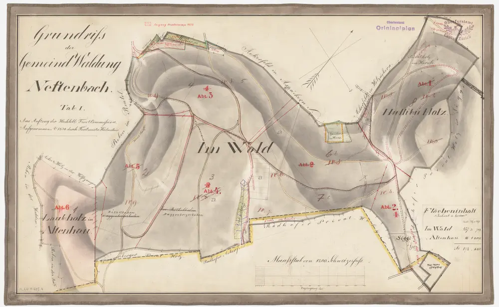 Neftenbach: Gemeindewaldung: Hülibü, Siggi, Rötelboden, Taggenberg (Daggenberg), Althau (Altenhau); Grundriss (Tab. I)