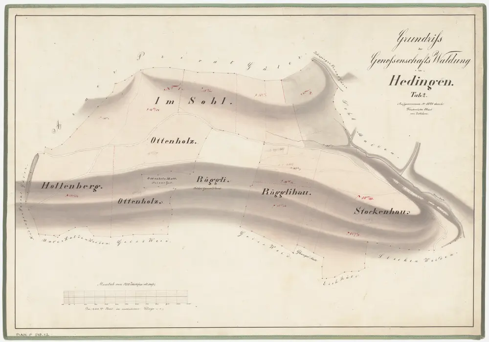 Hedingen: Gemeinde- und Genossenschaftswaldungen: Genossenschaftswaldungen Holenberghau, Ottenholzhau, Räggliholz, Stockenhau, Sol; Grundriss (Tab. 2)